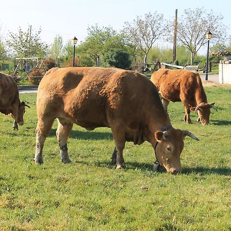 Готель Agroturismo La Casa Vieja Maturana Екстер'єр фото