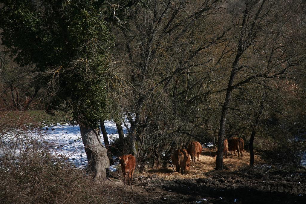 Готель Agroturismo La Casa Vieja Maturana Екстер'єр фото