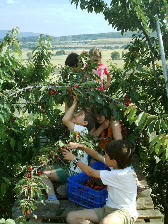 Готель Agroturismo La Casa Vieja Maturana Екстер'єр фото