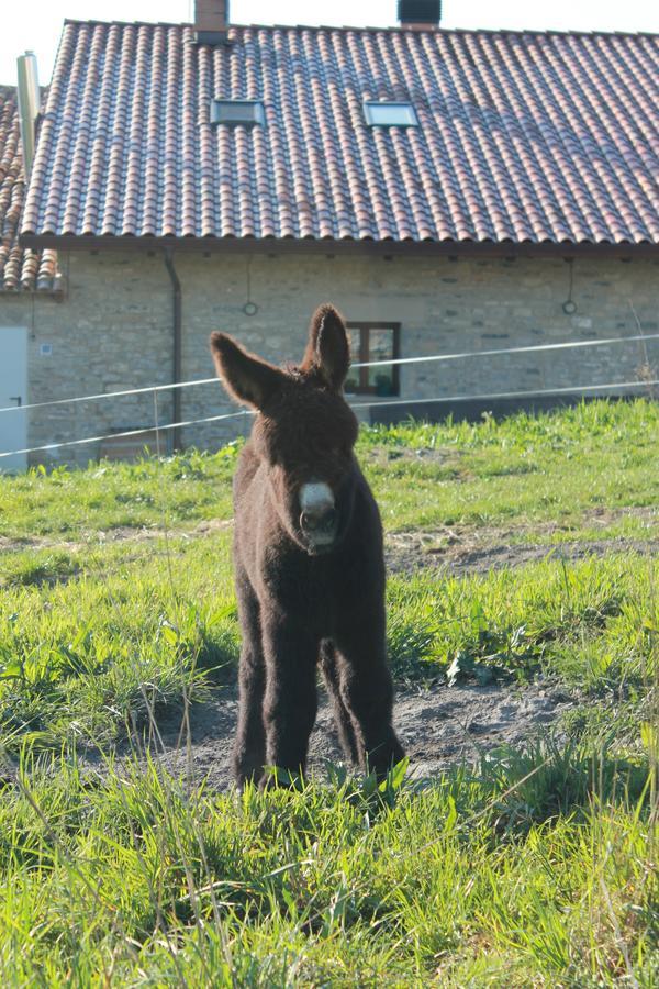 Готель Agroturismo La Casa Vieja Maturana Екстер'єр фото